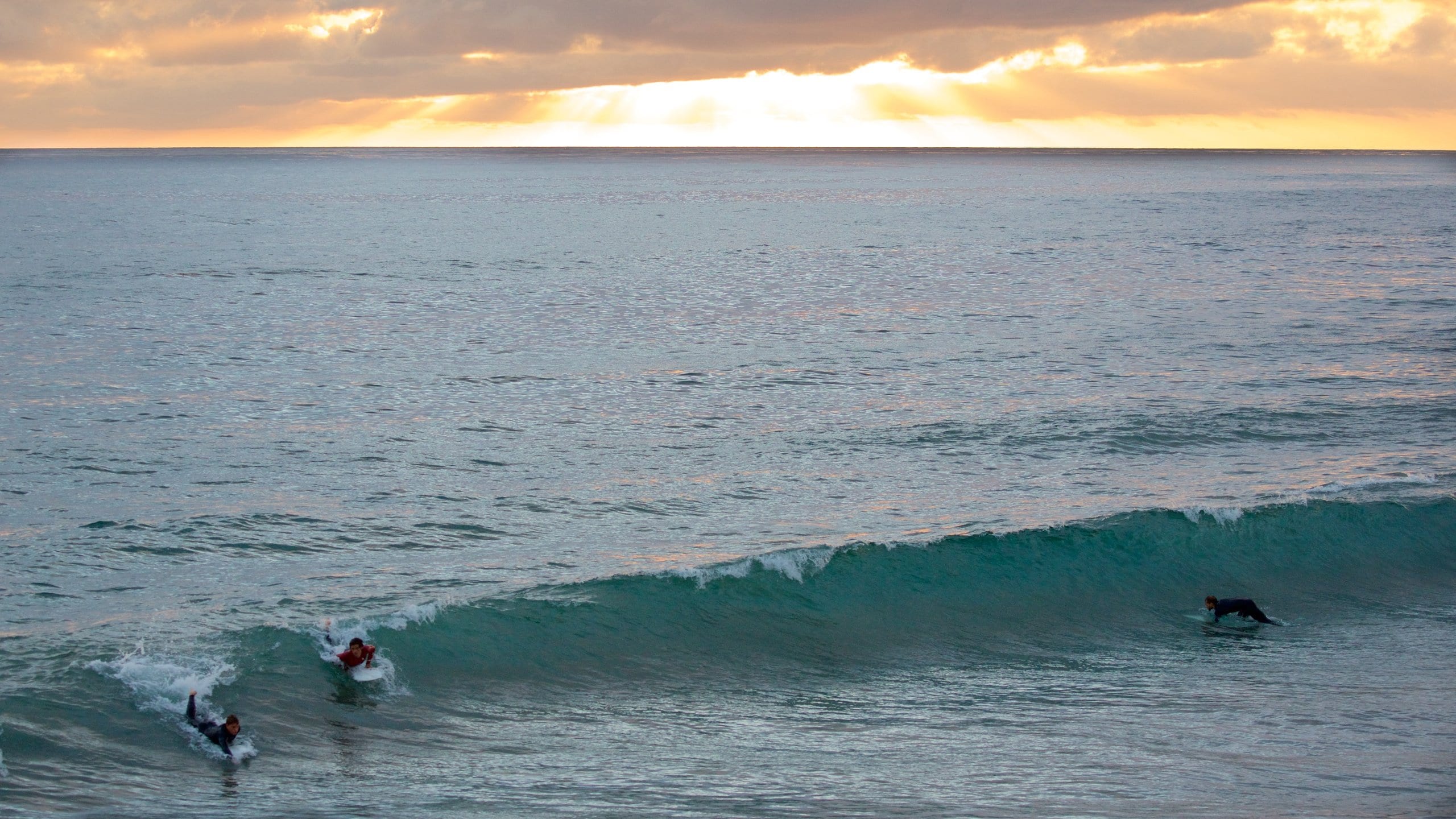 Visit Pacific Beach Best of Pacific Beach, San Diego Travel 2023 Expedia Tourism