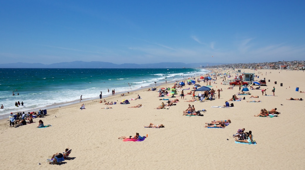 Hermosa Beach que incluye una playa y vistas generales de la costa y también un gran grupo de personas