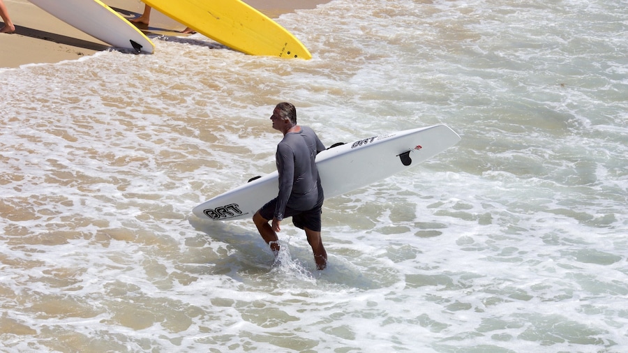 Hermosa Beach which includes surfing as well as an individual male