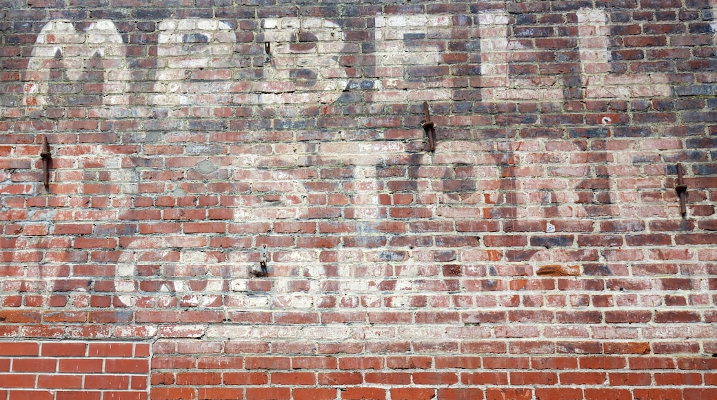 Old Pasadena showing signage