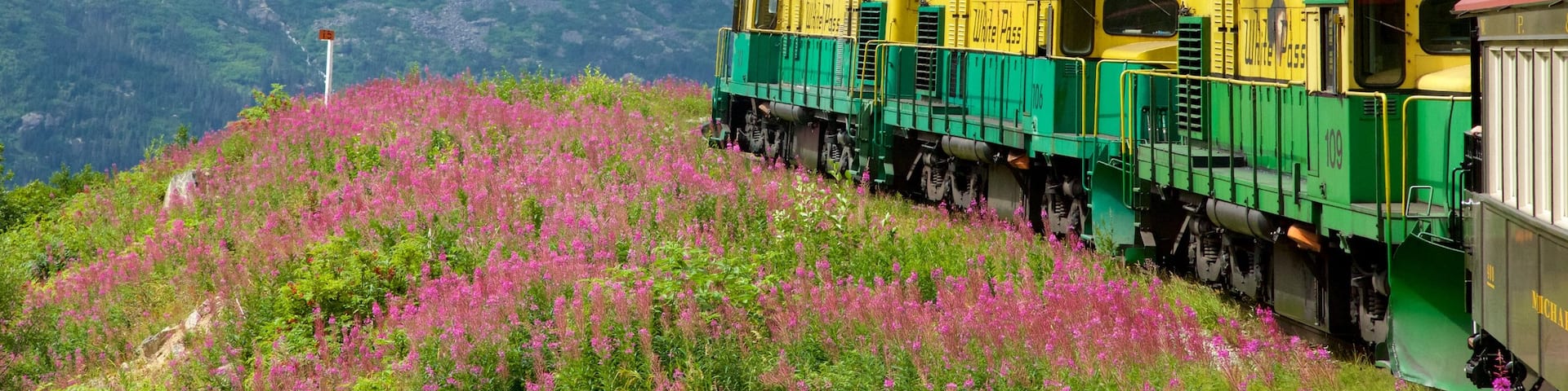 White Pass featuring wildflowers, mountains and railway items