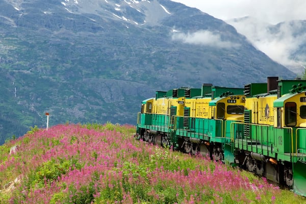White Pass welches beinhaltet Eisenbahnbetrieb, Wildblumen und Berge