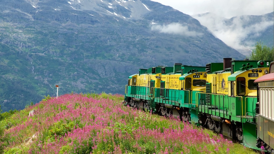 White Pass que incluye flores silvestres, artículos de ferrocarril y montañas