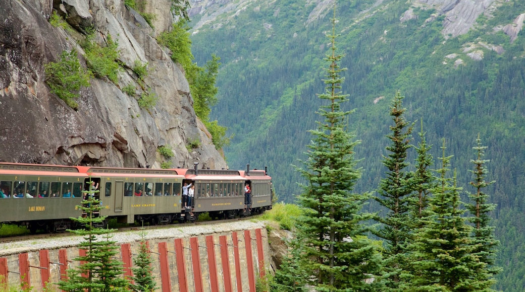 White Pass que incluye imágenes de bosques, artículos ferroviarios y montañas