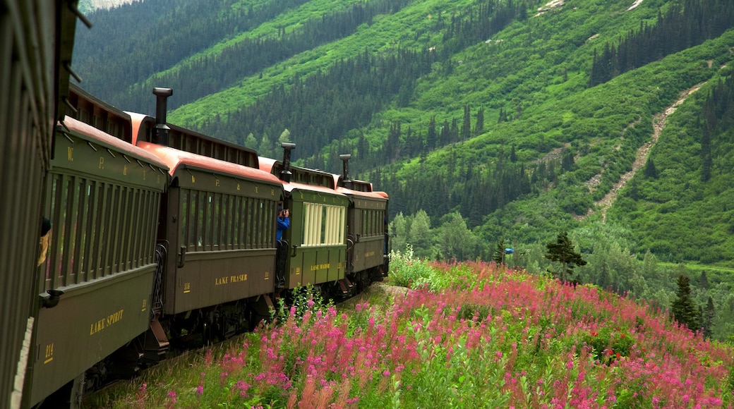 White Pass que incluye flores silvestres, montañas y artículos ferroviarios