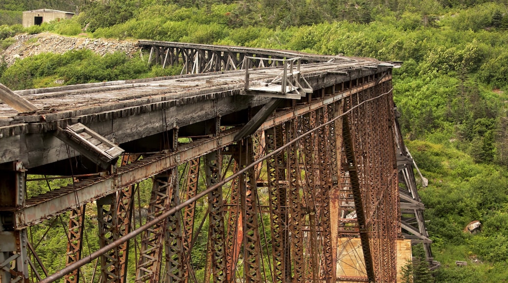 White Pass que incluye un puente, escenas forestales y artículos de ferrocarril