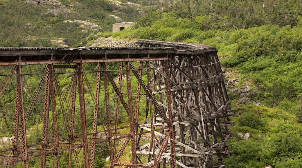 White Pass caracterizando itens de ferrovia, florestas e uma ponte