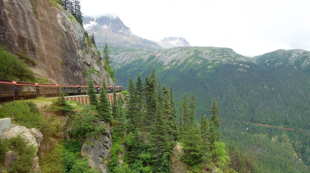 White Pass which includes mountains, a cascade and a gorge or canyon