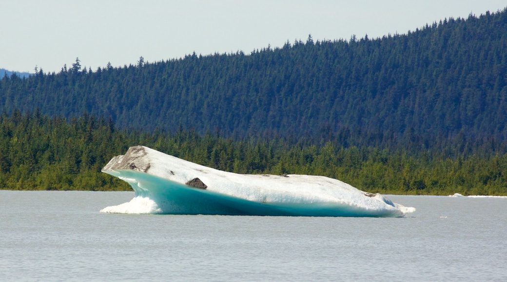 Mendenhallglaciären som inkluderar en sjö eller ett vattenhål och skogar