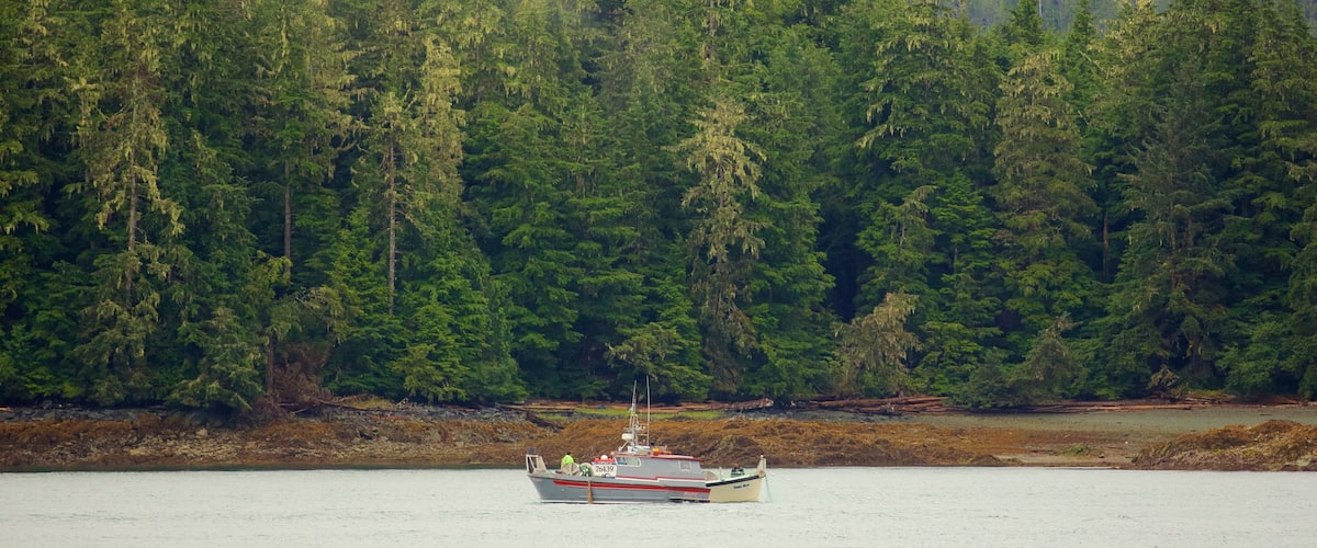 Southeast Alaska - Inside Passage featuring forests