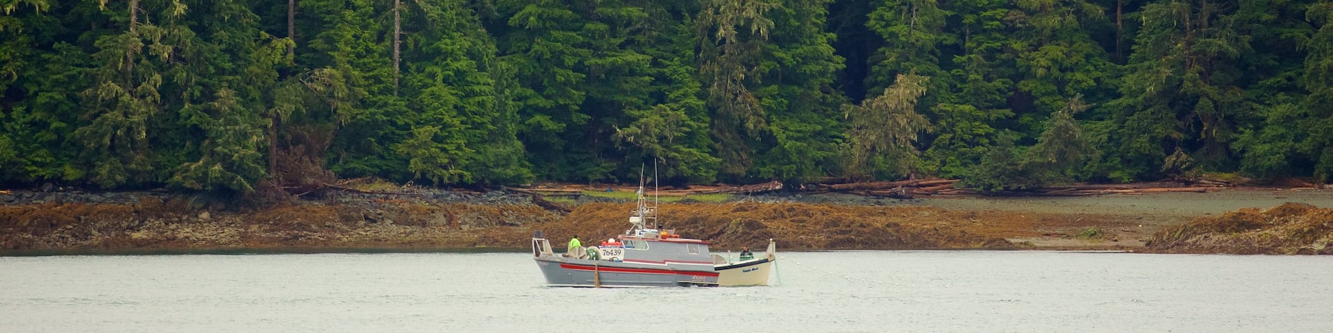 Southeast Alaska - Inside Passage featuring forests