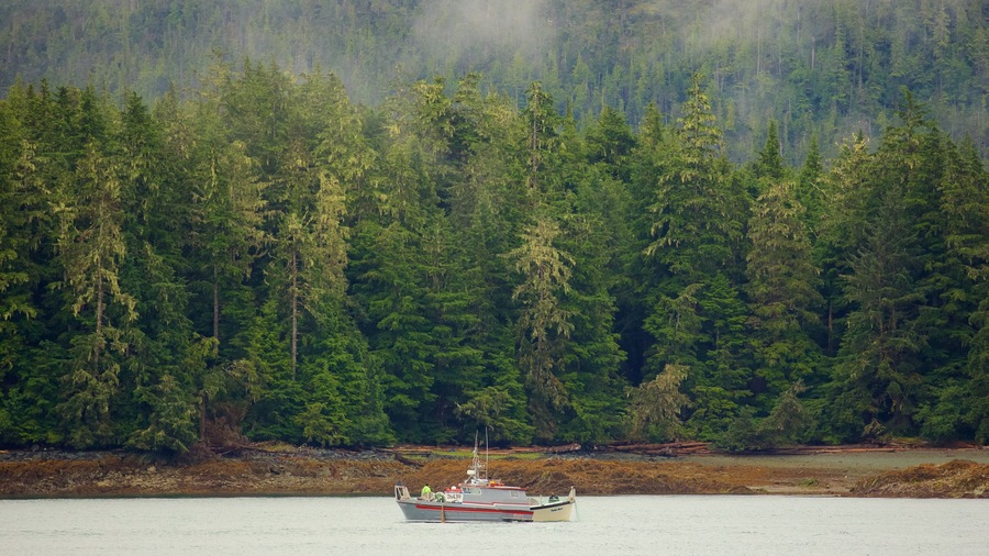 Southeast Alaska - Inside Passage which includes forests