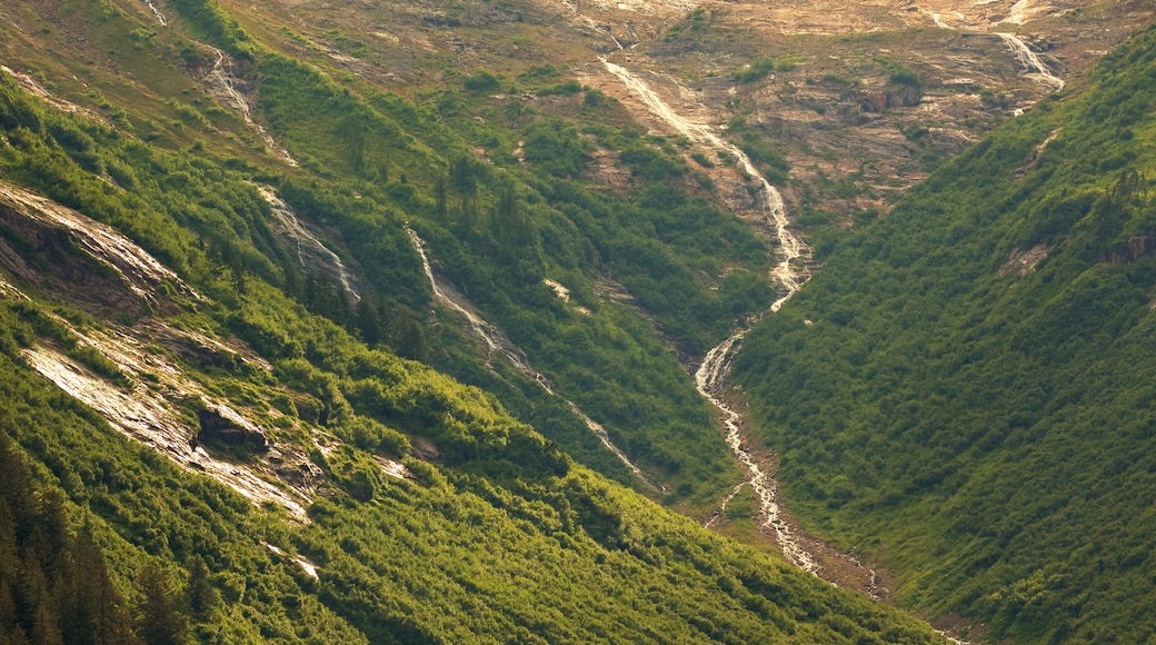 Southeast Alaska - Inside Passage which includes a gorge or canyon and tranquil scenes