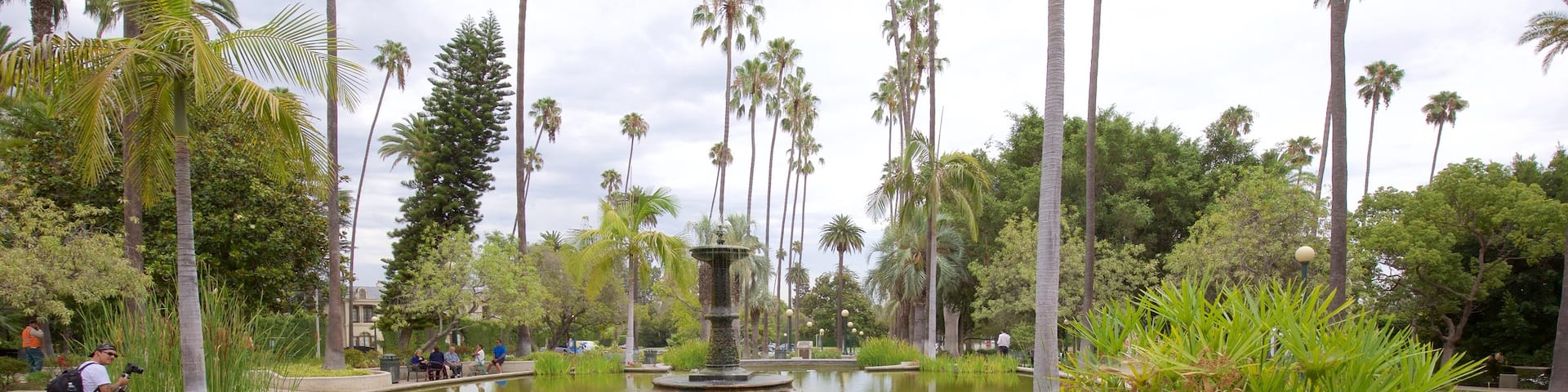 Beverly Hills montrant mare