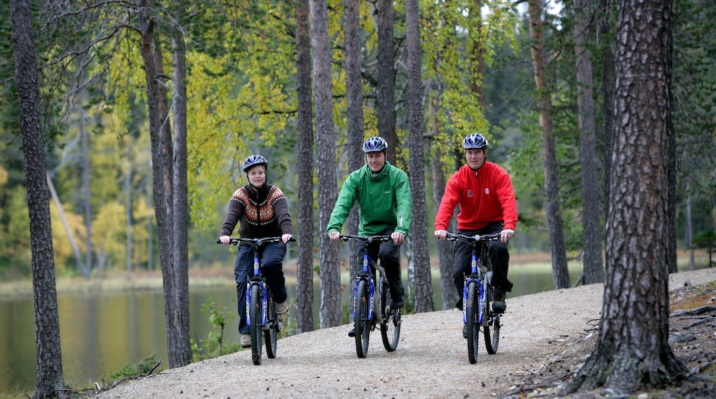 Photo provided by Pyhä-Luosto Resort Association