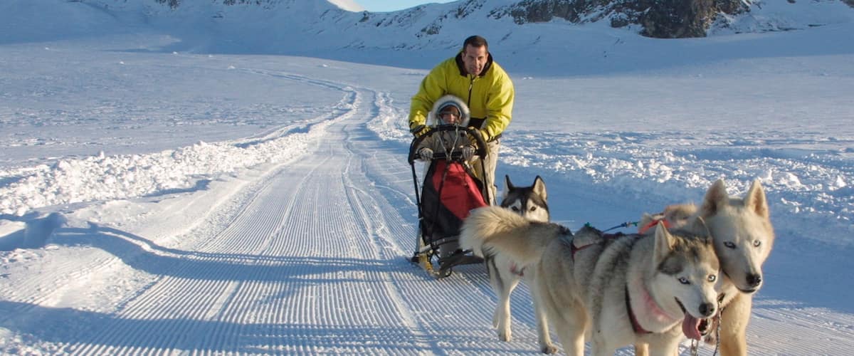 Stazione sciistica di Crans-Montana che include cani da slitta, neve e animali domestici