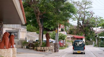 Tsuboya Pottery Museum showing street scenes and a small town or village