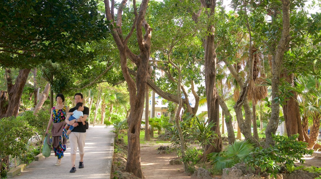 Parque Kabira mostrando un parque y también una familia