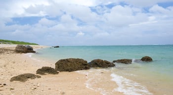 Shiraho Beach which includes a beach