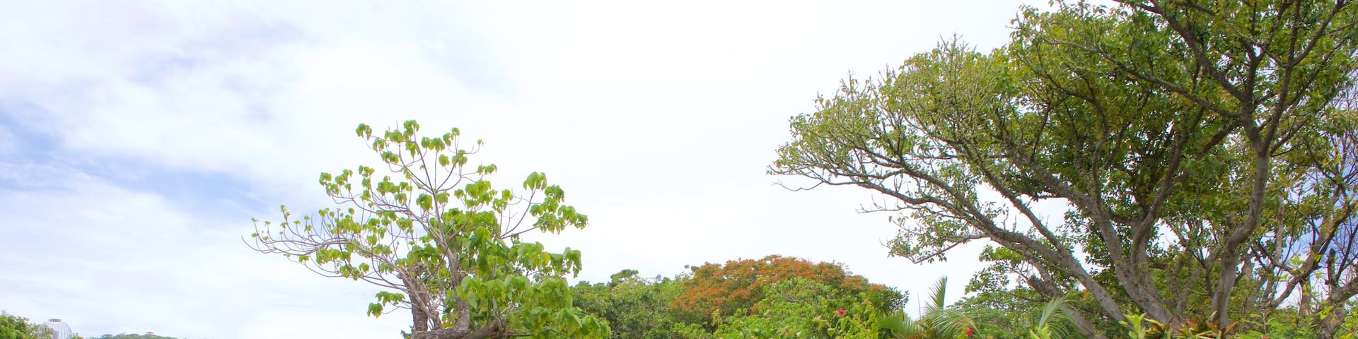 Ishigaki Island Limestone Cave which includes a park and flowers