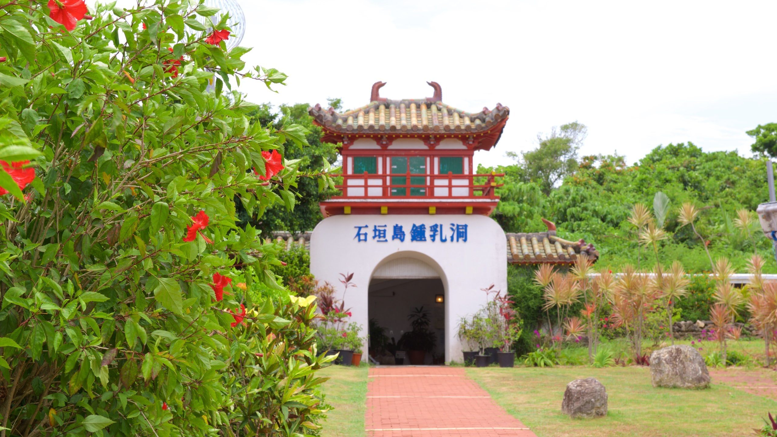 Ishigaki Island Limestone Cave in Ishigaki Expedia