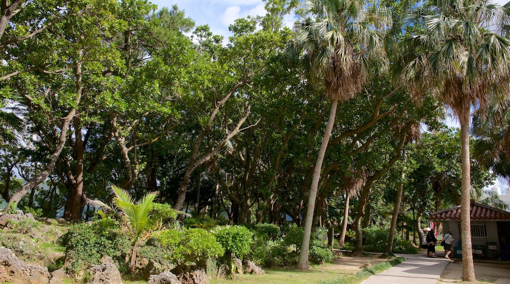 Parque Kabira que incluye un jardín