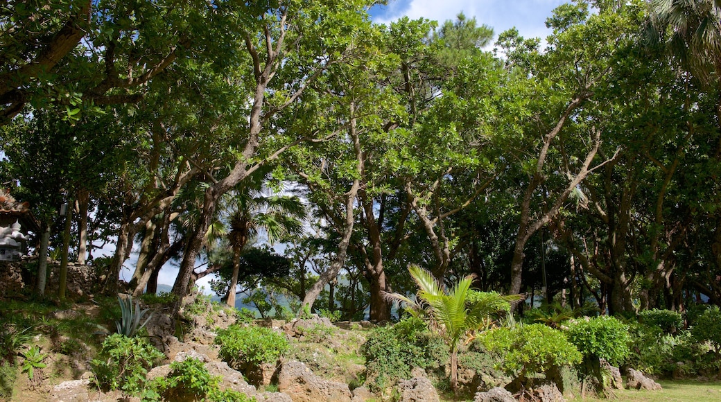 Kabira Park showing a garden