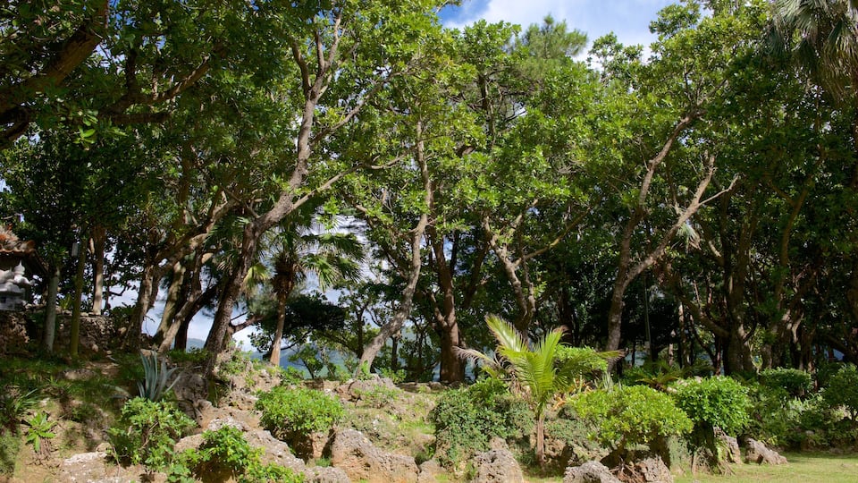 Kabira Park showing a garden