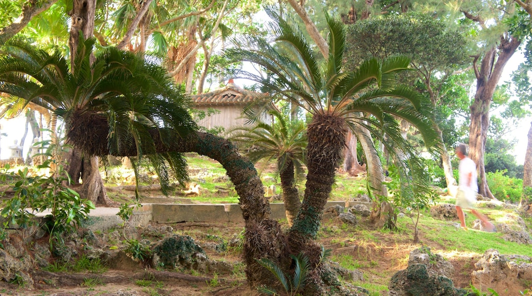 Kabira Park
