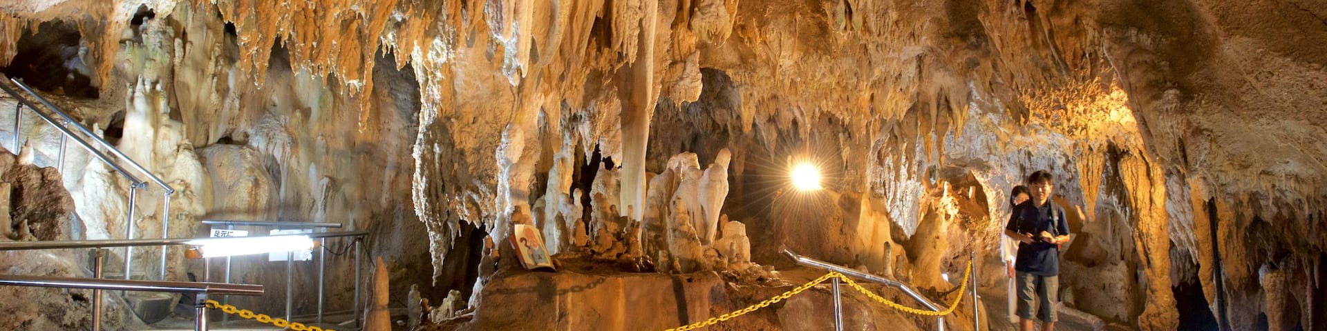 Ishigaki Island Limestone Cave which includes caving and caves