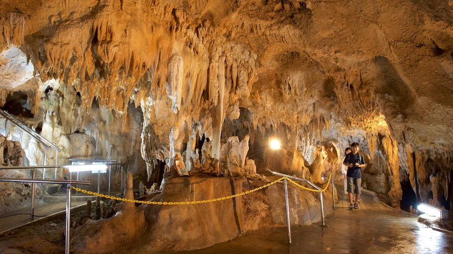 Ishigaki-öns kalkstensgrotta presenterar grottor och grottutforskning