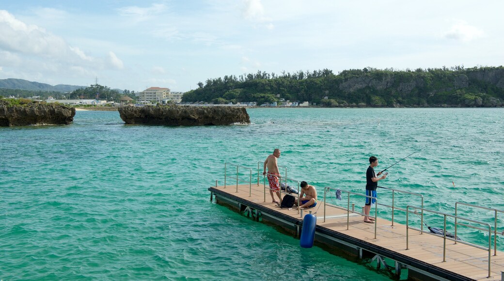 Okinawa showing general coastal views and fishing