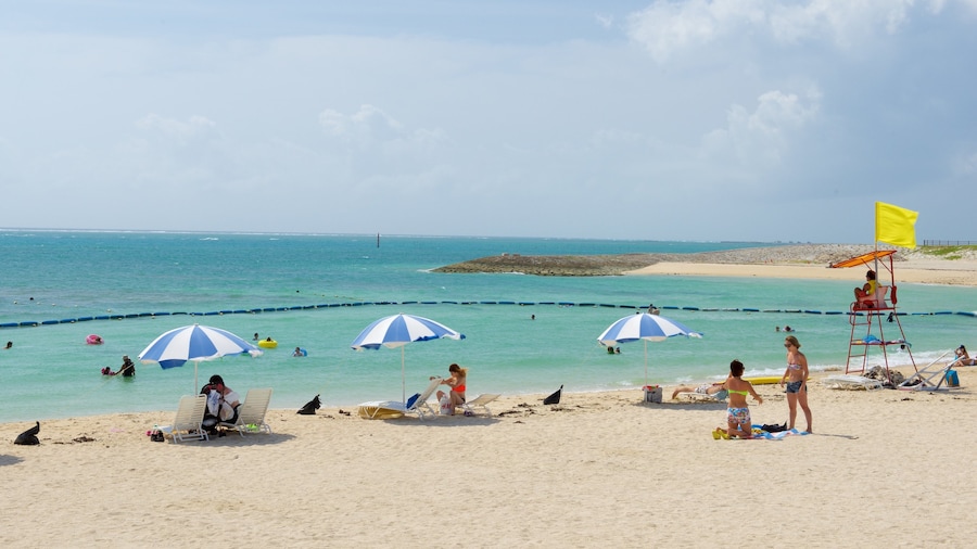 Okinawa which includes swimming and a beach as well as a large group of people