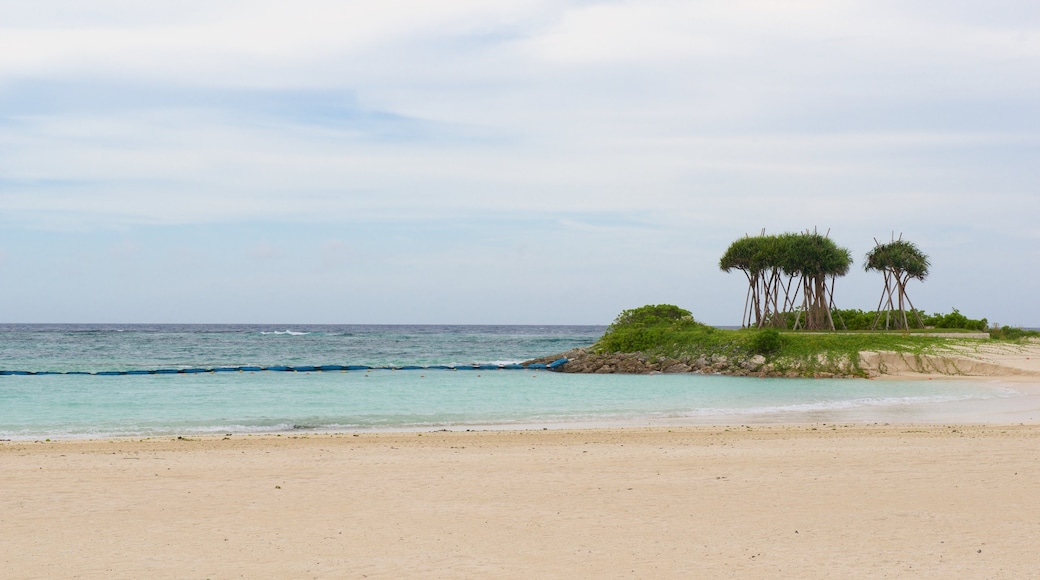 Okinawa which includes a sandy beach and landscape views