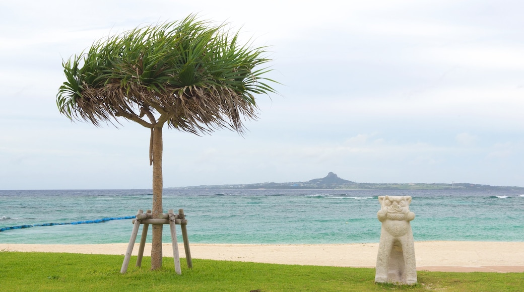 Emerald Beach showing general coastal views and a sandy beach