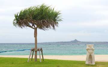 エメラルド ビーチ 沖縄本島 エクスペディア エメラルド ビーチ 沖縄本島 エクスペディア