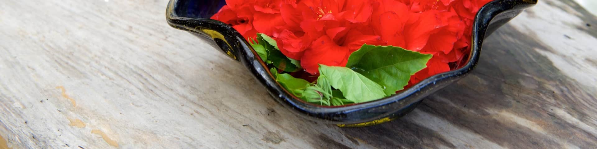 Okinawa which includes flowers