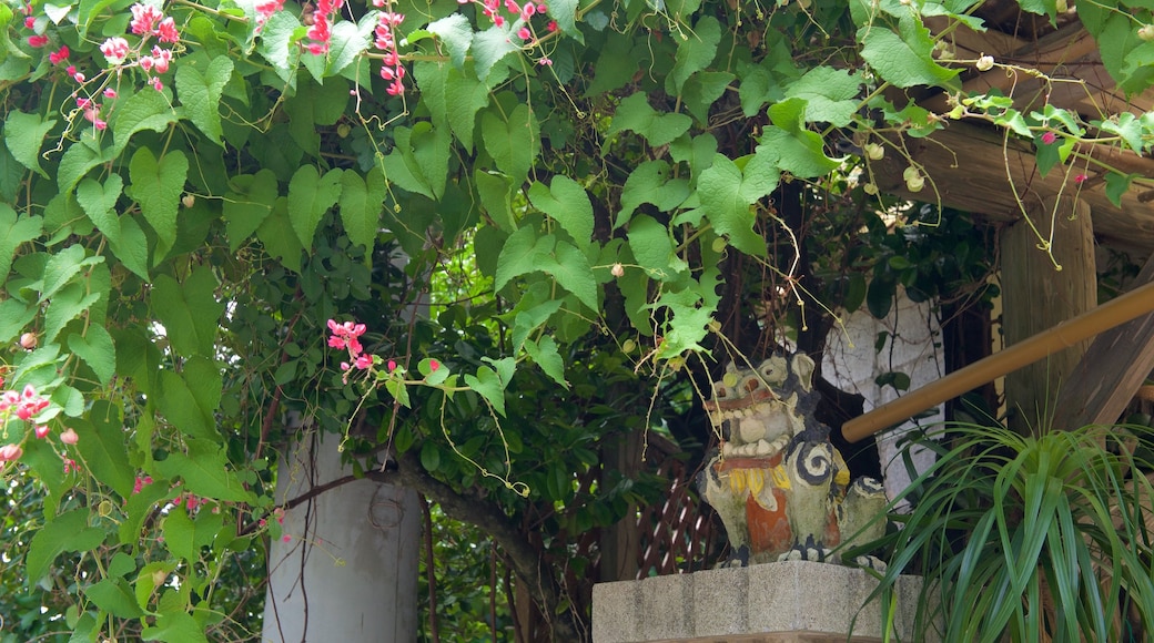 Okinawa showing flowers