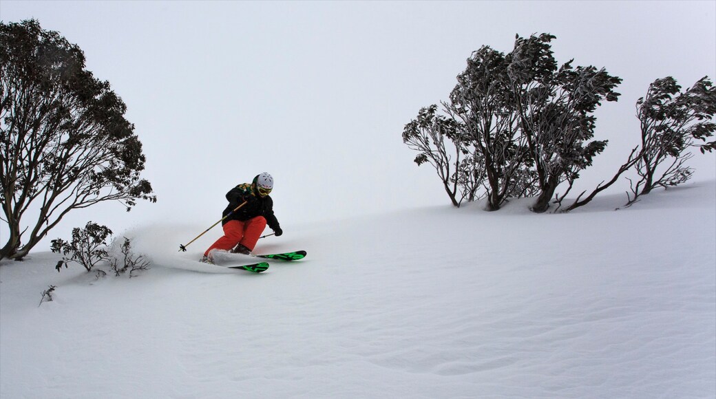 Foto aportada per Mount Hotham Alpine Resort / Mark Tsukasov