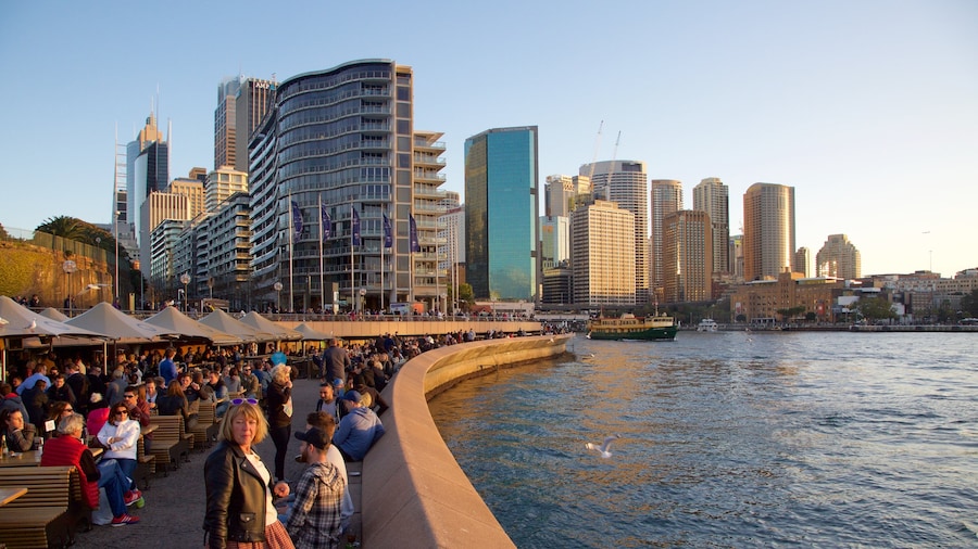 Circular Quay que incluye un rascacielos, zona de negocios y vistas de una costa