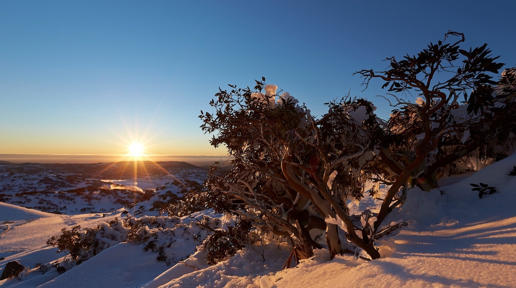 Perisher Ski Resort som viser en solnedgang, sne og udsigt over landskaber