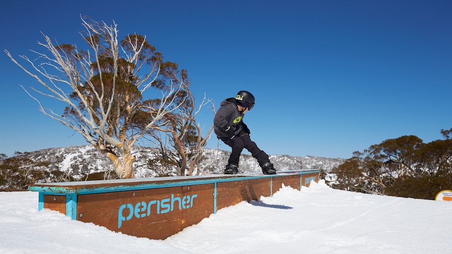 Perisher Ski Resort showing snow and snow boarding