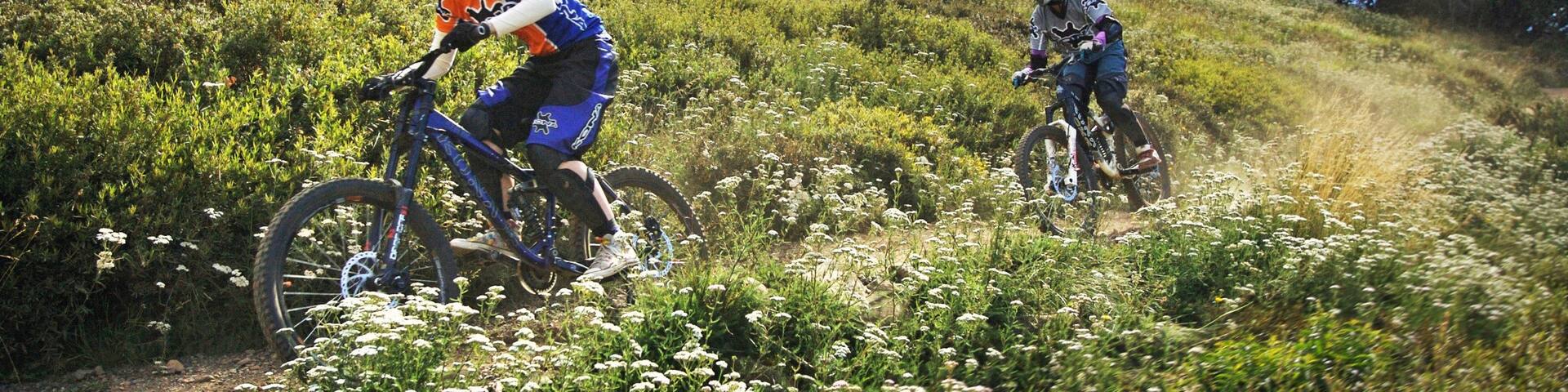 Mt. Buller Ski Slopes showing a gondola and mountain biking