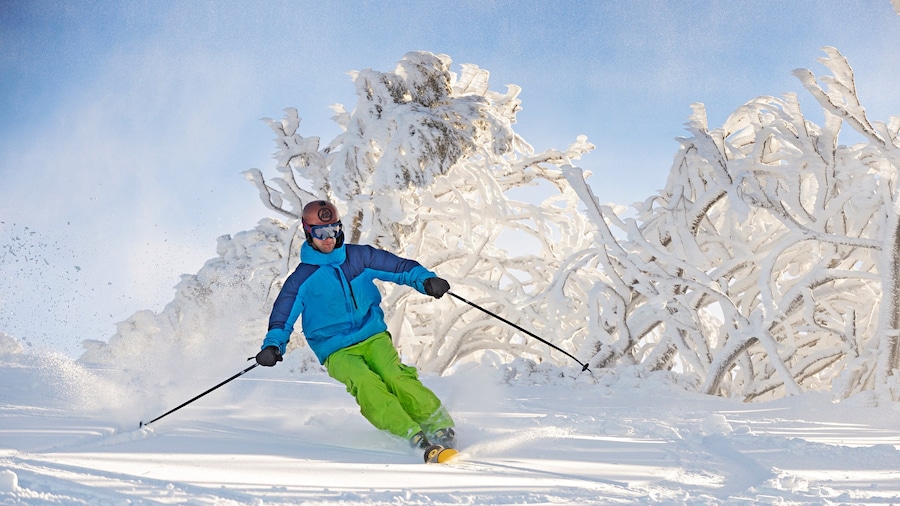 Mt.Buller Ski Slopes toont skiën en sneeuw