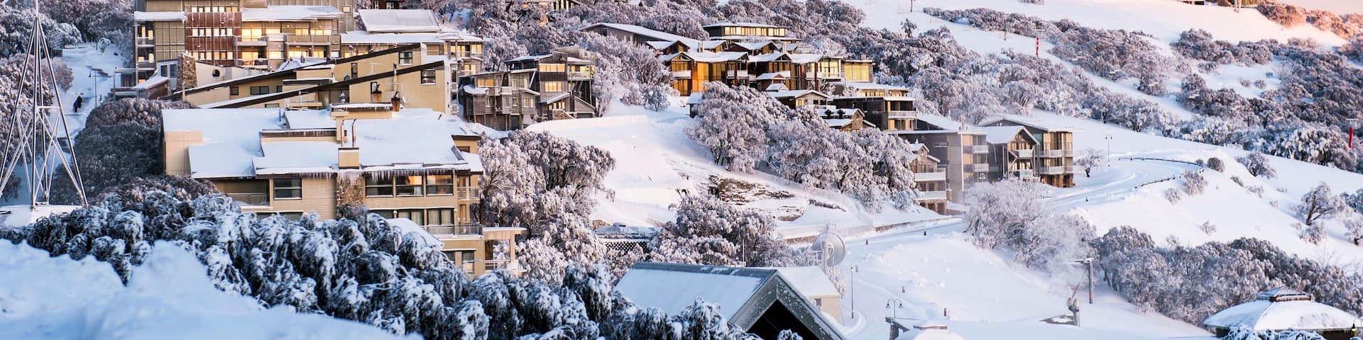 Mt. Buller Ski Slopes featuring a small town or village and snow