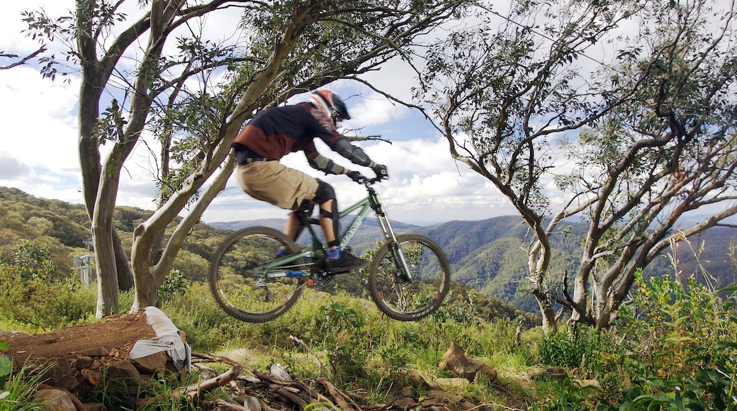 Photo provided by James Knowler/Mount Buller