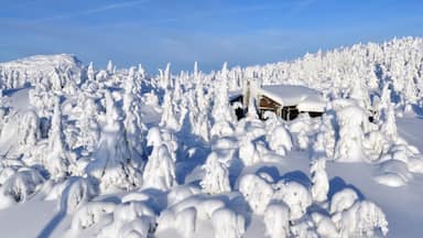 Kvitfjell som inkluderar snö och ett hus