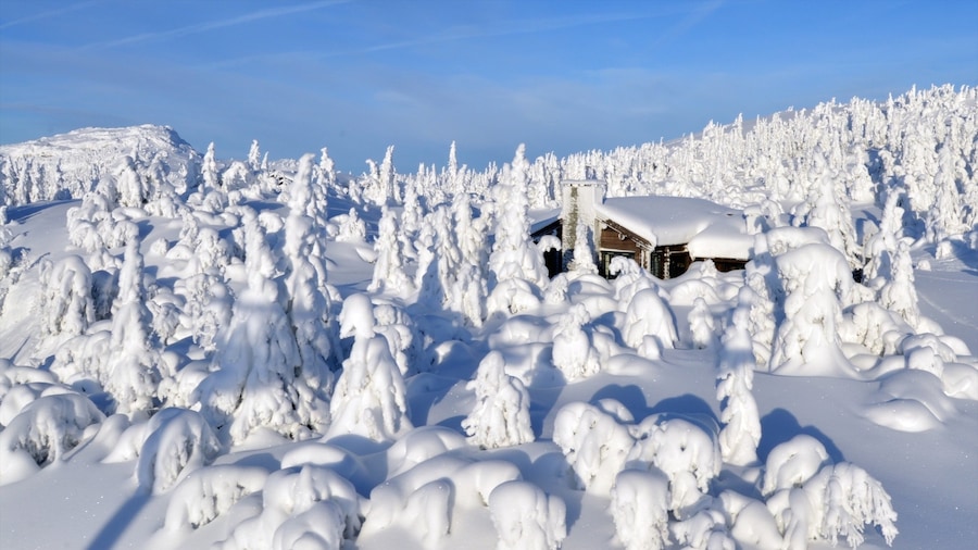 Kvitfjell showing snow and a house