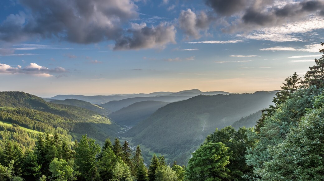 Photo provided by Liftverbund Feldberg / HTG / Klaus Hansen / Achim Mende