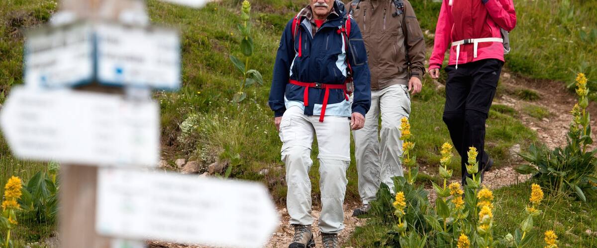Estación de esquí Feldberg que incluye señalización y senderismo o caminata y también un pequeño grupo de personas